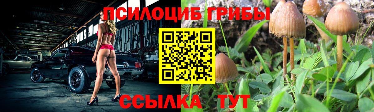 Троицк  Галлюциногенные грибы ЛСД  Вход с VPN 